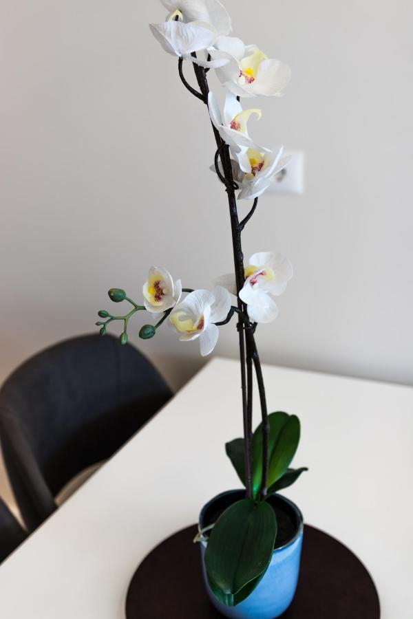 Apartments - Stella Petrovac ภายนอก รูปภาพ